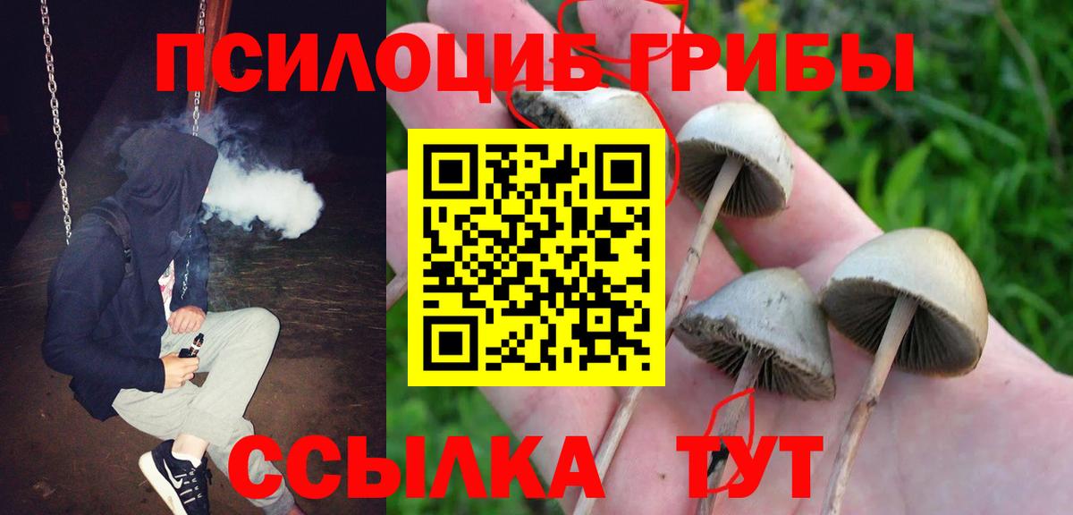 Галлюциногенные грибы MAGIC MUSHROOMS Сокол