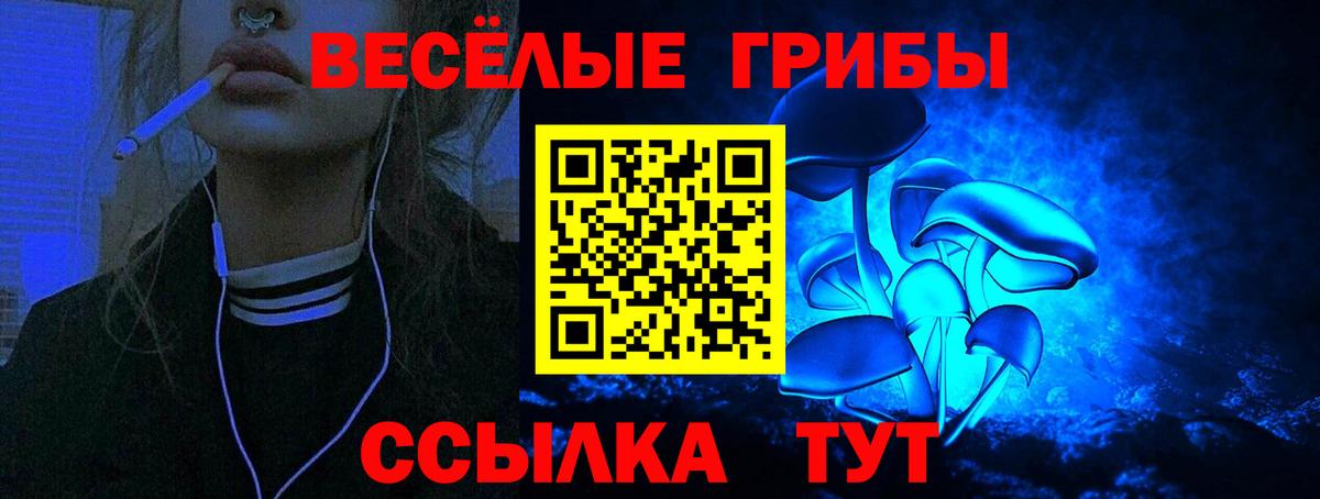 Псилоцибиновые грибы MAGIC MUSHROOMS  где найти наркотики  Сокол  Вход с VPN 