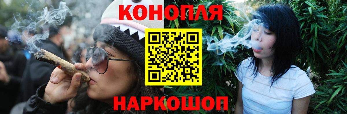 Канабис гибрид Сокол